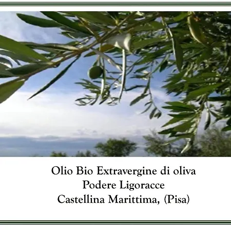 Grecale In * Castellina Marittima