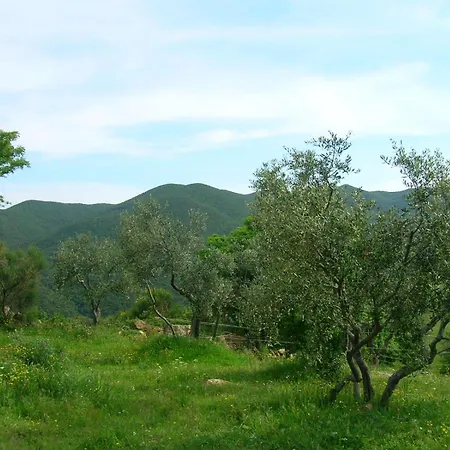 Grecale In Apartmán Castellina Marittima