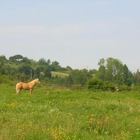 Grecale In Apartmán